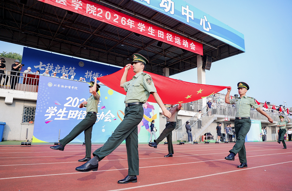 国旗护卫队.png